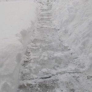 Meet your Posher, Jan